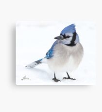 Forever In Blue Canvas Print