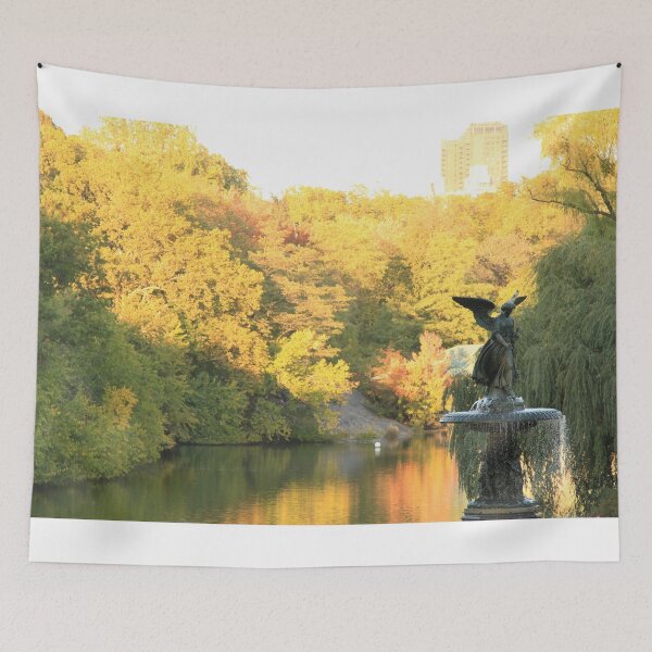 Item preview, Bethesda Fall - Central Park, NYC designed and sold by picturedlcphoto.