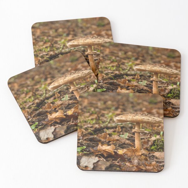Item preview, Fungi In The Woodland designed and sold by Dave Godden.