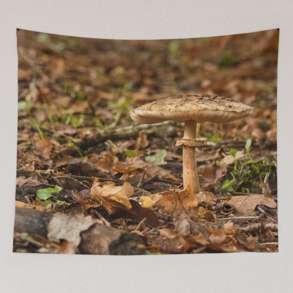 Item preview, Fungi In The Woodland designed and sold by Dave Godden.