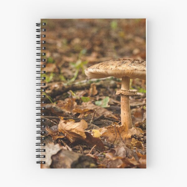 Item preview, Fungi In The Woodland designed and sold by Dave Godden.