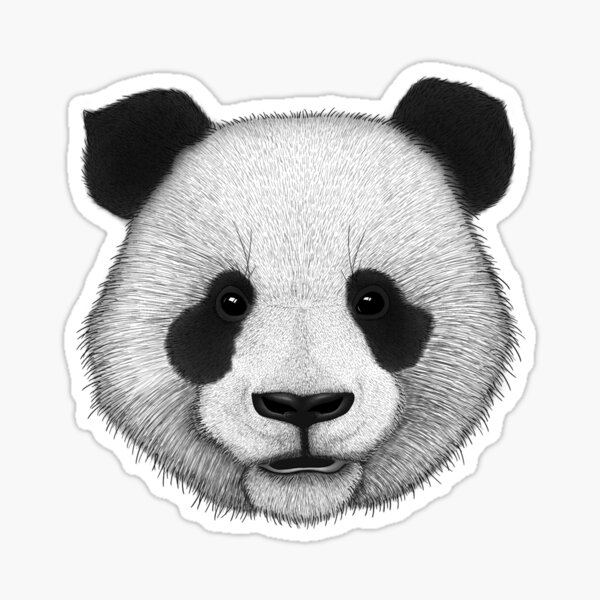 Sticker Panda Kopf Redbubble