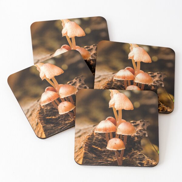 Item preview, Fungi In The Woodland designed and sold by Dave Godden.