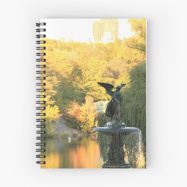 Item preview, Bethesda Fall - Central Park, NYC designed and sold by picturedlcphoto.