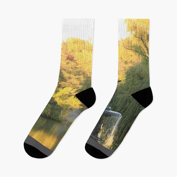 Item preview, Bethesda Fall - Central Park, NYC designed and sold by picturedlcphoto.