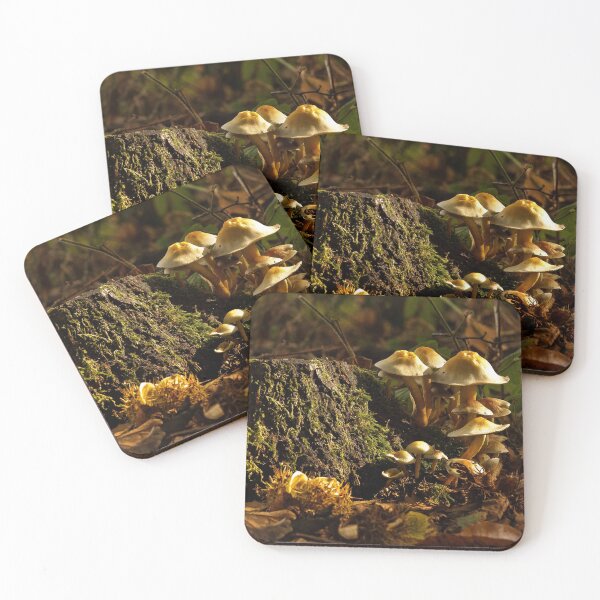 Item preview, Fungi In The Woodland designed and sold by Dave Godden.