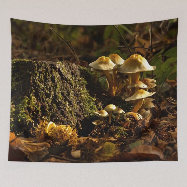 Item preview, Fungi In The Woodland designed and sold by Dave Godden.