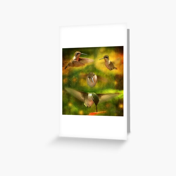 Hummingbird Extravaganza Greeting Card