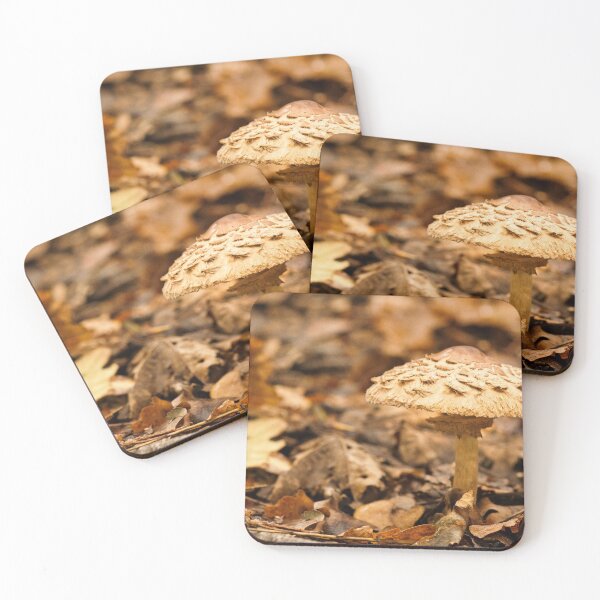 Item preview, Fungi In The Woodland designed and sold by Dave Godden.