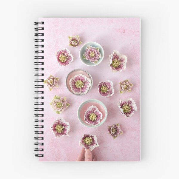 Item preview, Hellebore flatlay with pastel ceramic bowls designed and sold by Zoe Power.