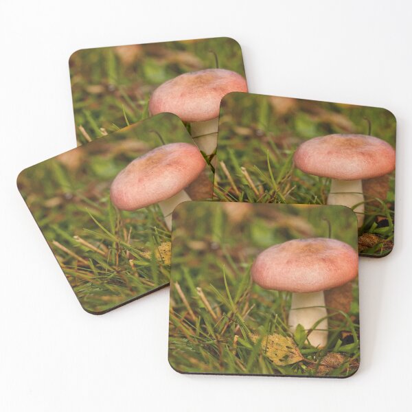 Item preview, Fungi In The Woodland designed and sold by Dave Godden.