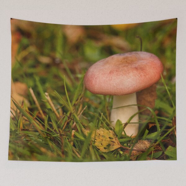 Item preview, Fungi In The Woodland designed and sold by Dave Godden.