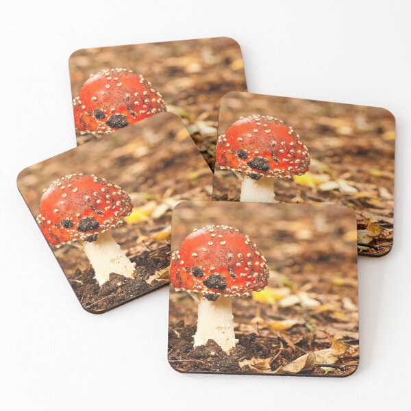 Item preview, Fungi In The Woodland designed and sold by Dave Godden.