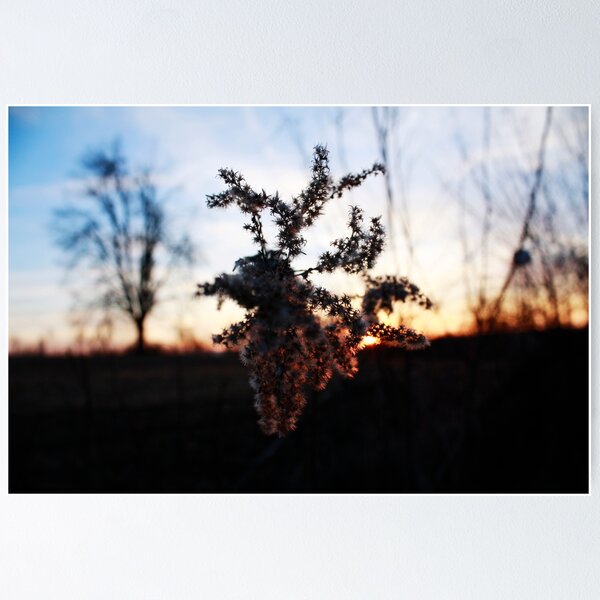 Item preview, barbed sunset designed and sold by Jessica Mullins-Hunter.