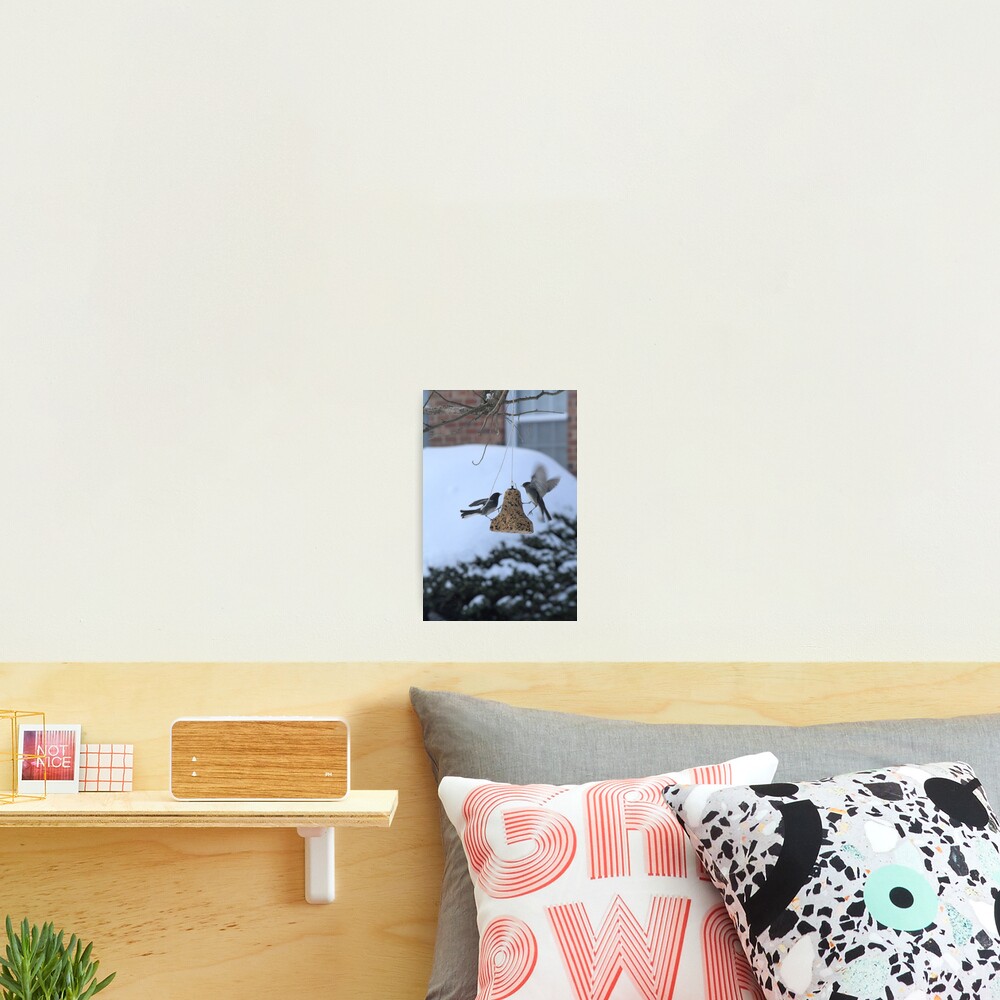 Item preview, Photographic Print designed and sold by Riddick4x5.