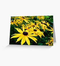 Sunshine (Black Eyed Susans) Greeting Card