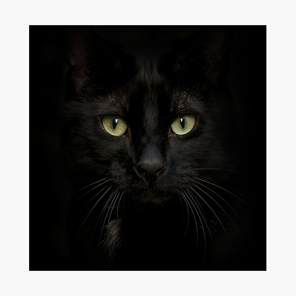 Black on Black.. Photographic Print