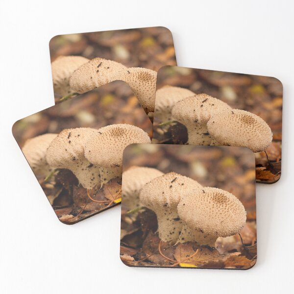Item preview, Fungi In The Woodland designed and sold by Dave Godden.
