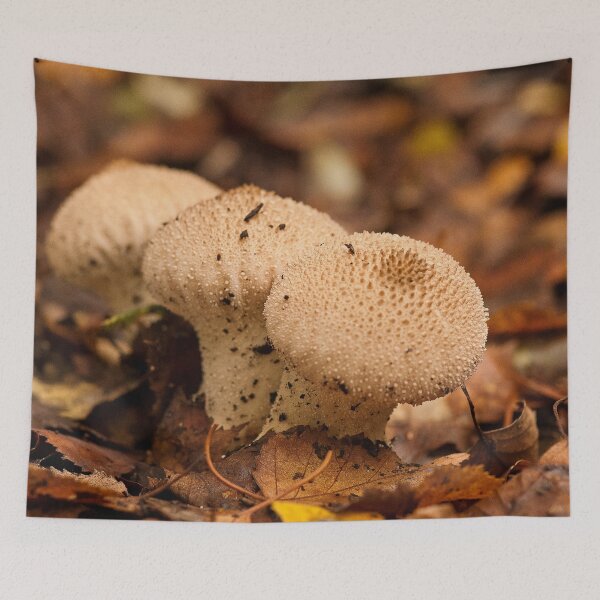 Item preview, Fungi In The Woodland designed and sold by Dave Godden.