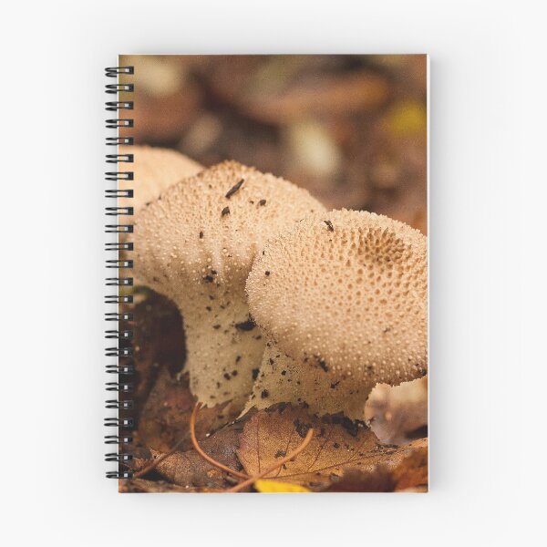 Item preview, Fungi In The Woodland designed and sold by Dave Godden.