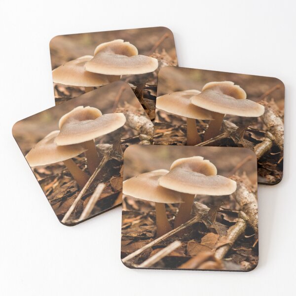 Item preview, Fungi In The Woodland designed and sold by Dave Godden.