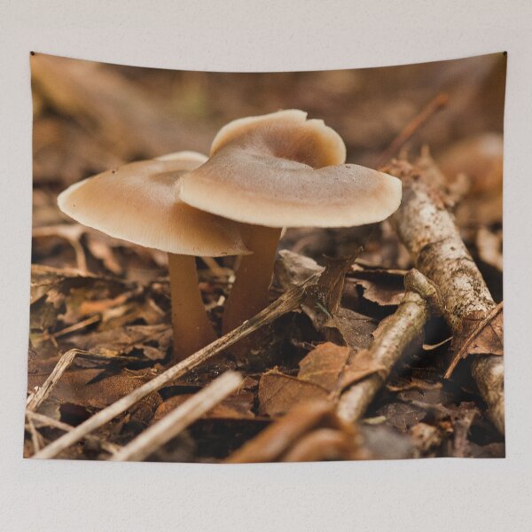 Item preview, Fungi In The Woodland designed and sold by Dave Godden.