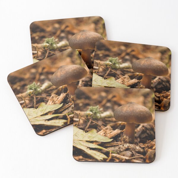 Item preview, Fungi In The Woodland designed and sold by Dave Godden.