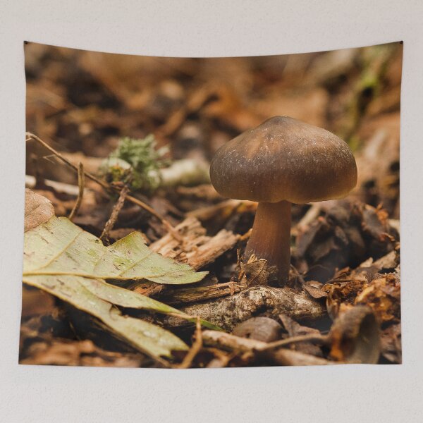 Item preview, Fungi In The Woodland designed and sold by Dave Godden.