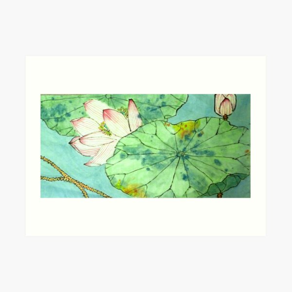Shy Lotus Art Print