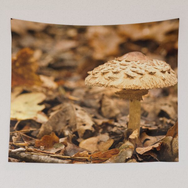 Item preview, Fungi In The Woodland designed and sold by Dave Godden.