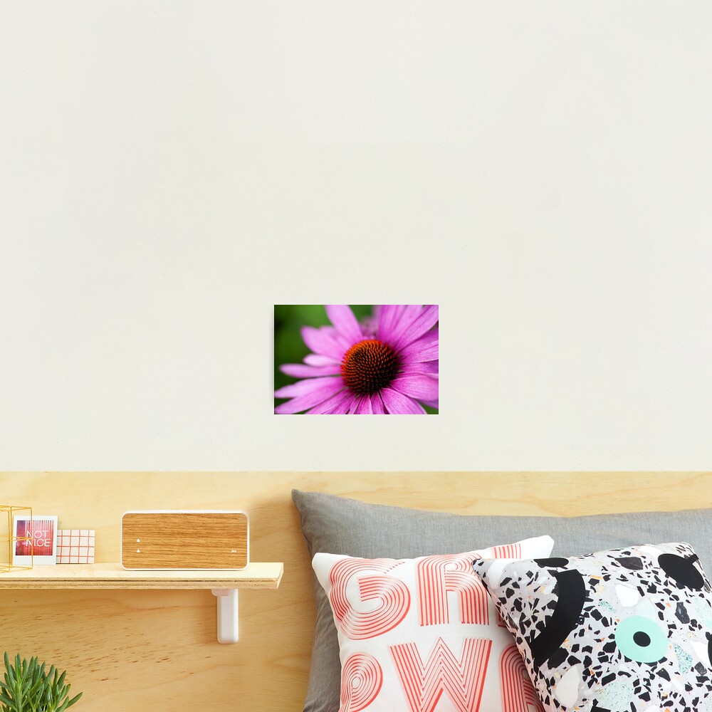 Item preview, Photographic Print designed and sold by codaimages.