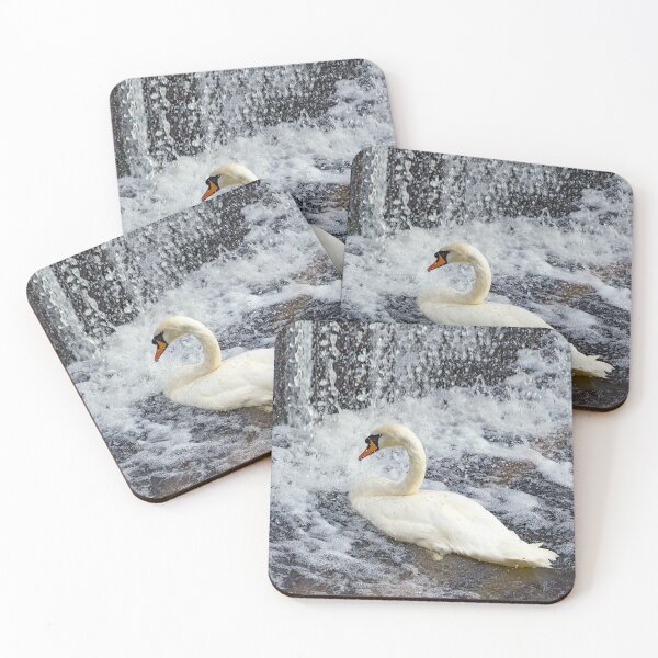 Item preview, Swan taking a shower designed and sold by Millysuewood.