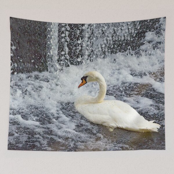 Item preview, Swan taking a shower designed and sold by Millysuewood.