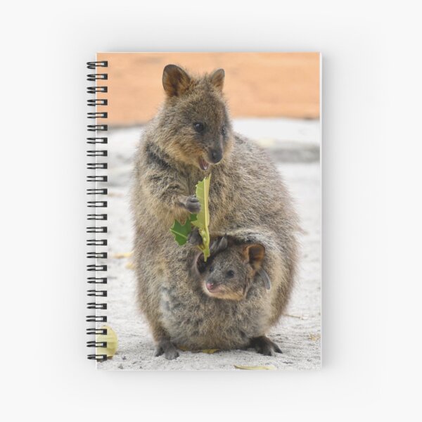 Item preview, Quokka with Joey designed and sold by lhowden.