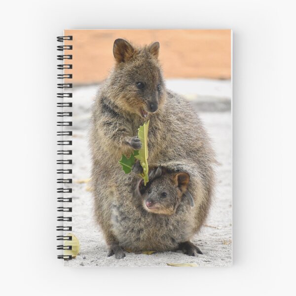 Item preview, Quokka with Joey designed and sold by lhowden.