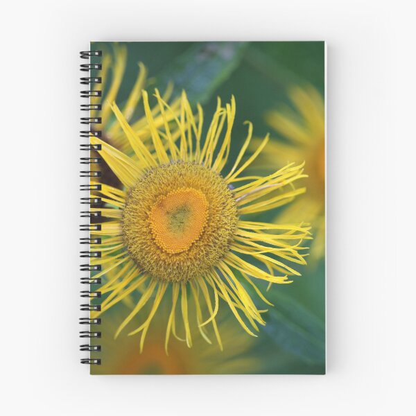 Item preview, July flowers . by Dr.Andrzej Goszcz designed and sold by © Andrzej Goszcz,M.D. Ph.D.