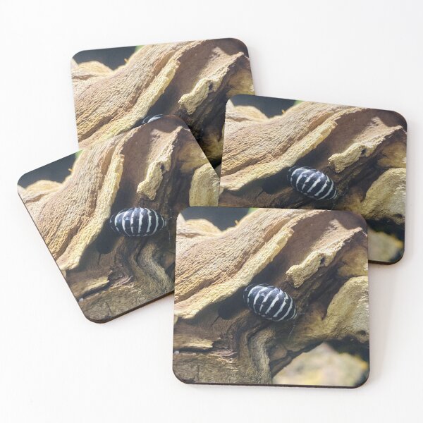 Item preview, Zebra designed and sold by Jthuluphoto.