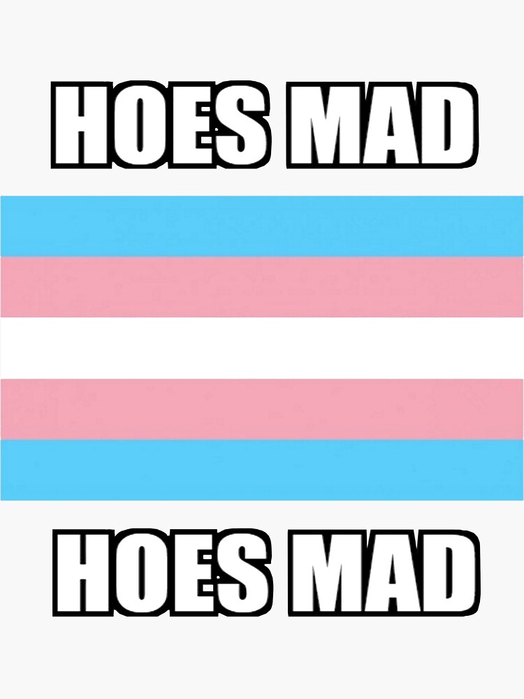 "transgender flag hoes mad" Sticker for Sale by dinosaesthetic Redbubble