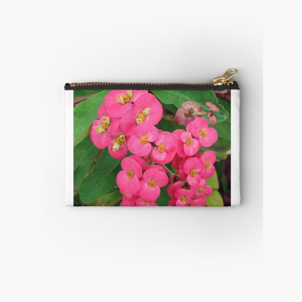 Item preview, Euphorbia millii  designed and sold by Angel35.