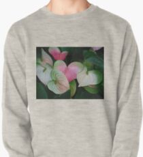anthurium Pullover