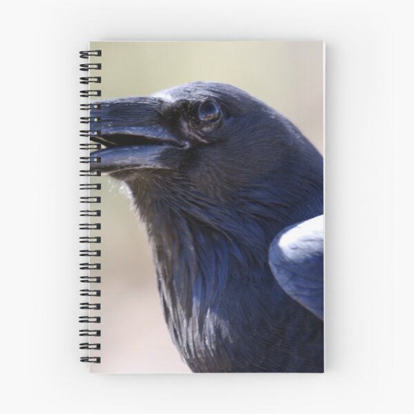 Item preview, Raven... designed and sold by RichImage.