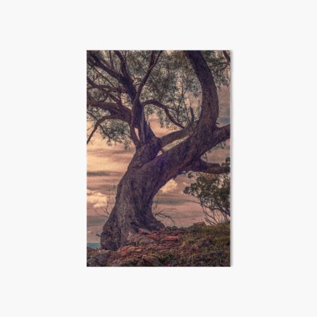 Item preview, Old and twisted  designed and sold by Jessy Willemse.