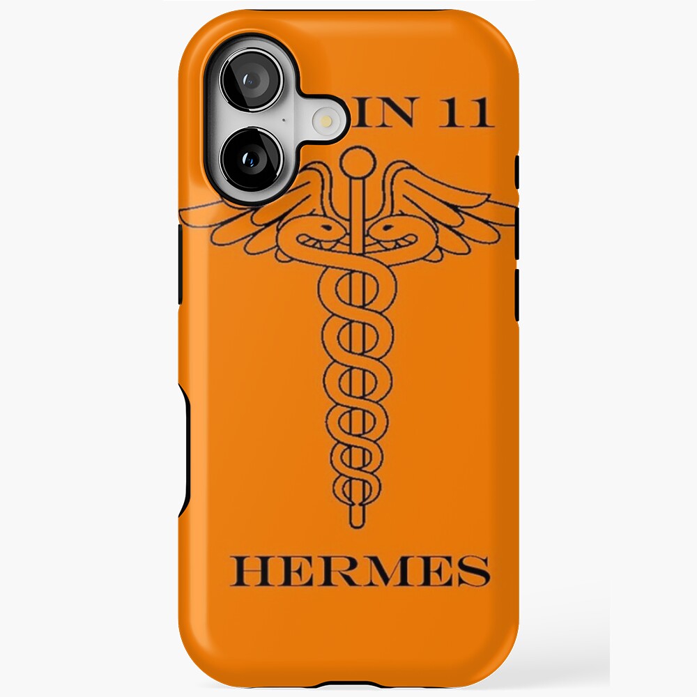 HERMES ケース Turtle