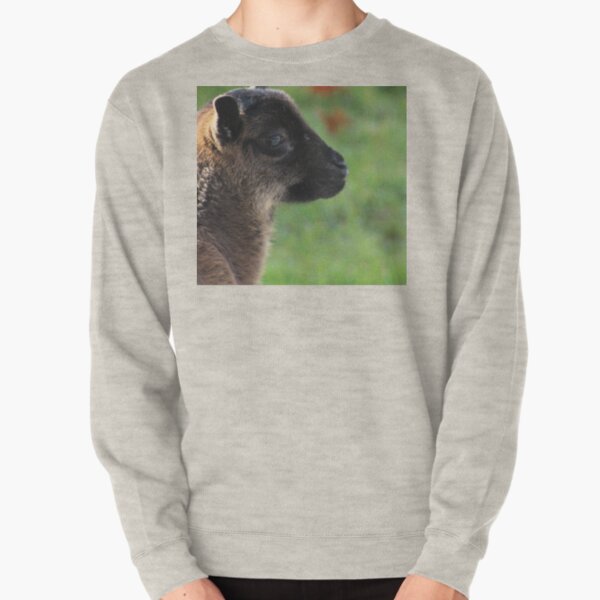 Lonely little one Pullover Sweatshirt