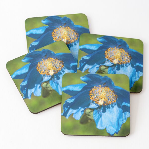Item preview, Iceland. Reykjavik. Blue Poppy. designed and sold by vadim19.