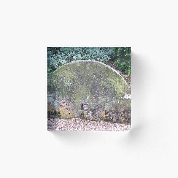 Item preview, Mossy  stone  designed and sold by IronMegan.