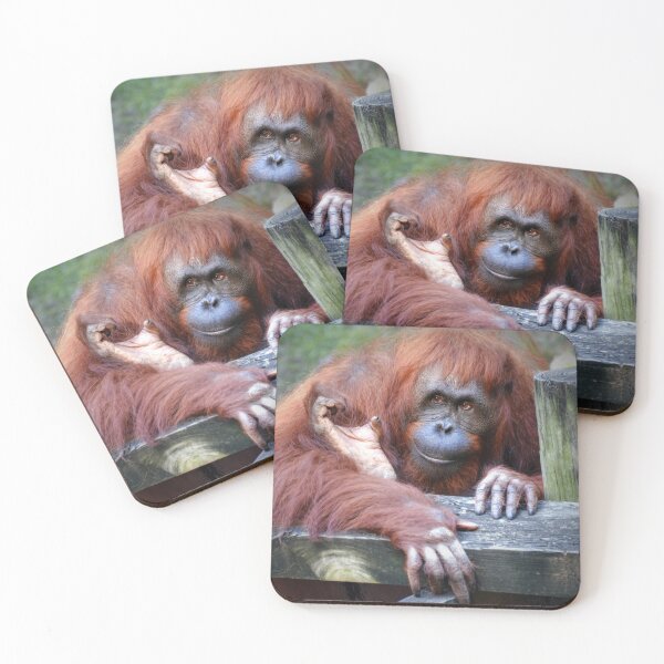 Item preview, Orangutan designed and sold by Savannah Gibbs.