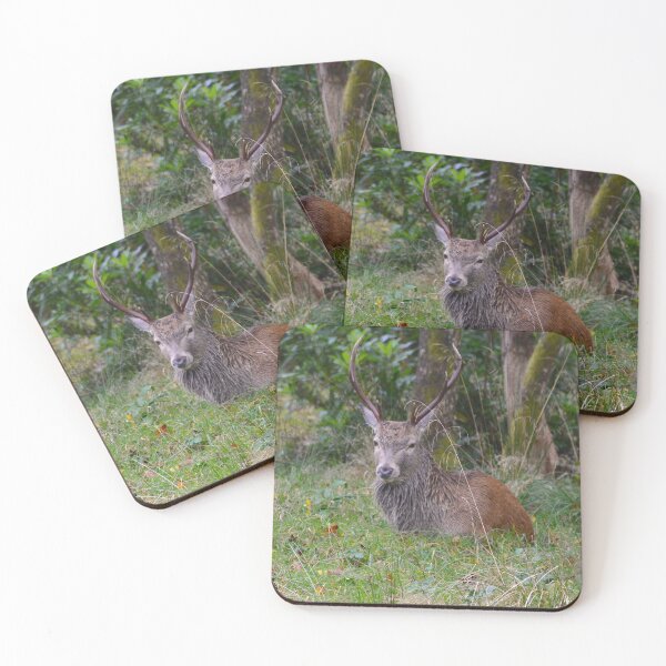 Item preview, Resting designed and sold by Carla Maloco.