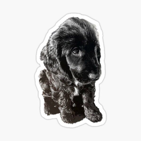 cocker spaniel gifts for owners