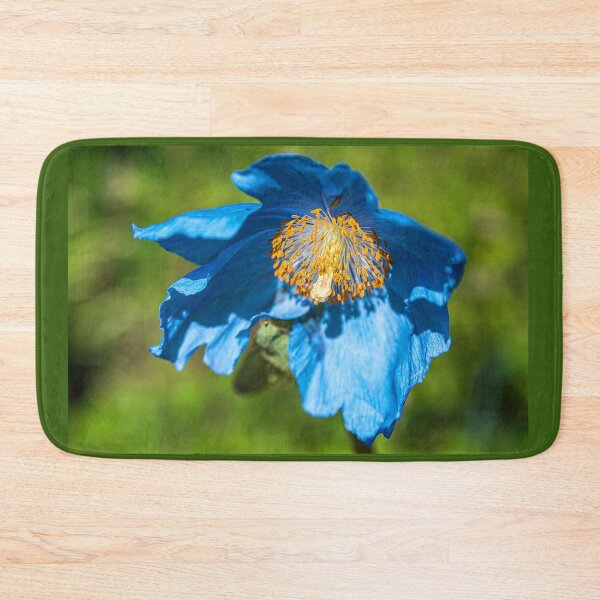 Artikelvorschau, Island. Reykjavik. Blaue Mohnblume. entworfen und verkauft von vadim19.